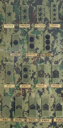 RANK INSIGNIA (FSU)